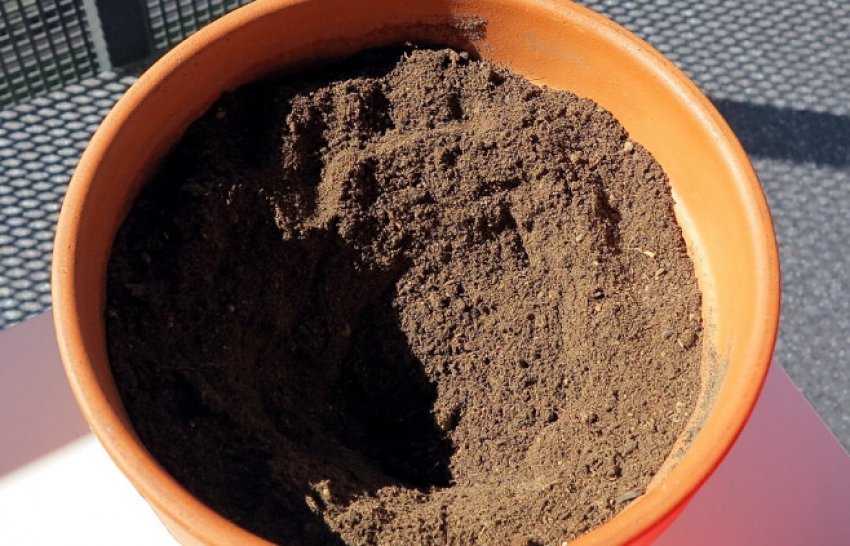 Грунт в горщику