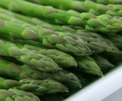 Україні пророкують швидку закоханість у спаржу