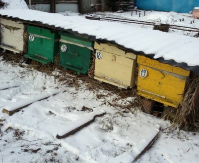 Як забезпечити вулик обігрівачем своїми руками?