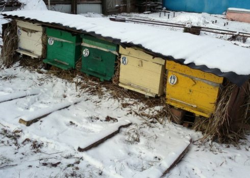 Как обеспечить улей обогревателем своими руками?