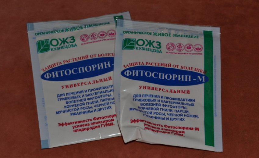 Фітоспорин Фітоспорин