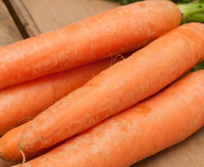 Описание моркови сорта Нандрин