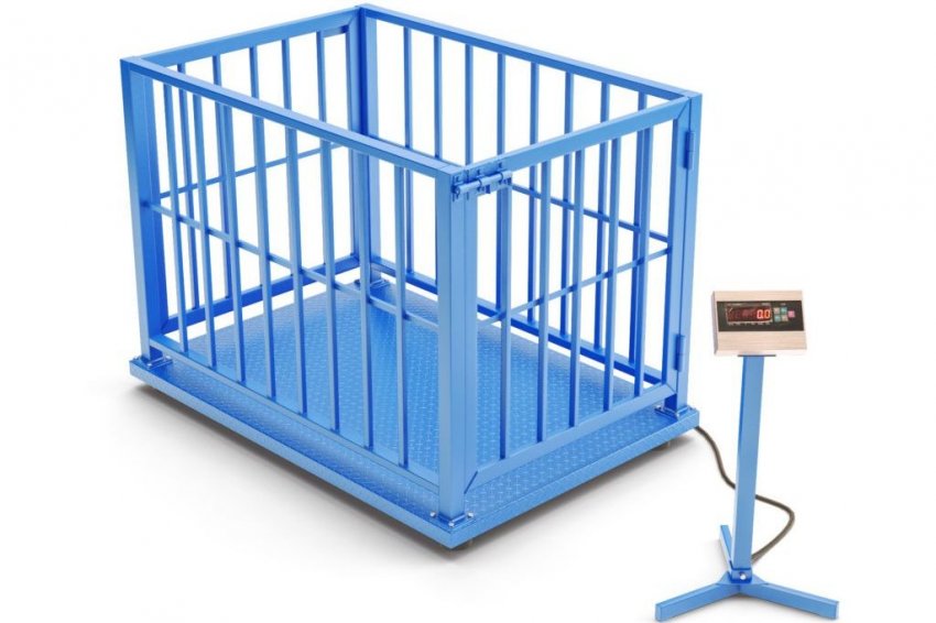 Специальнее ваги на платформі з кліткою Специальнее ваги на платформі з кліткою