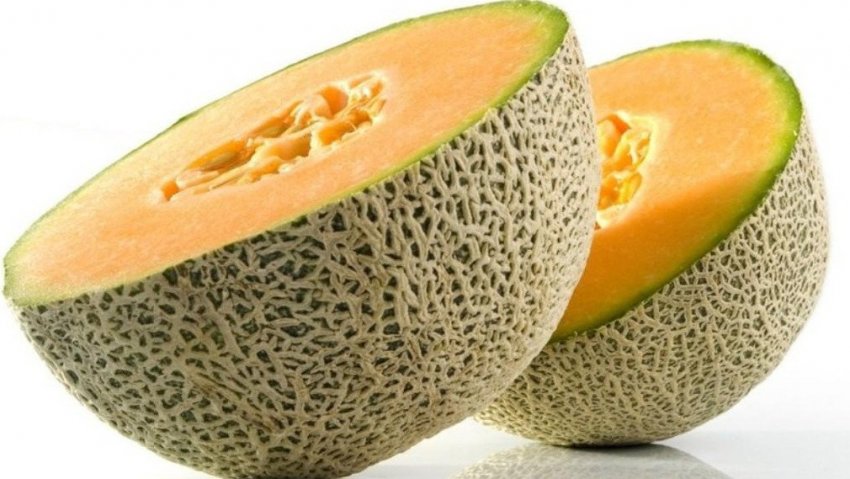 Диня Канталупа