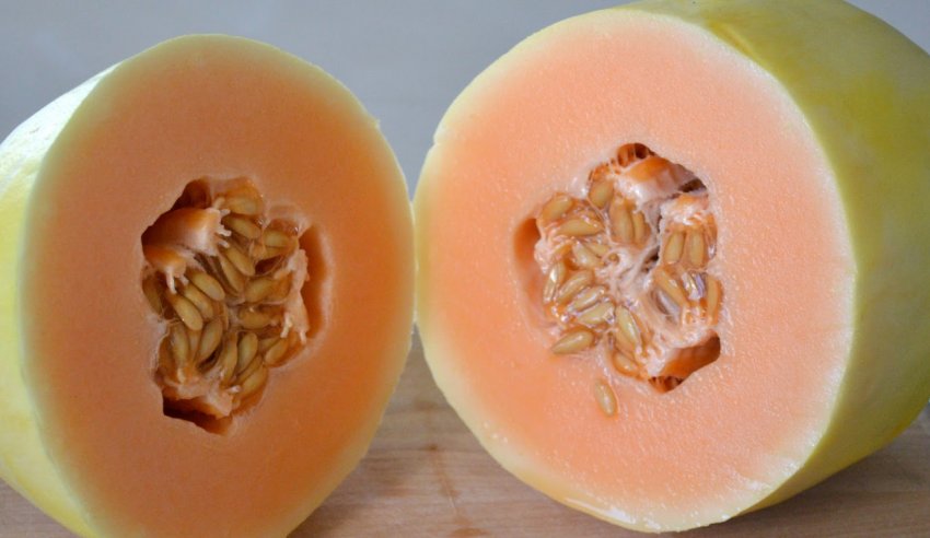 Диня Креншо