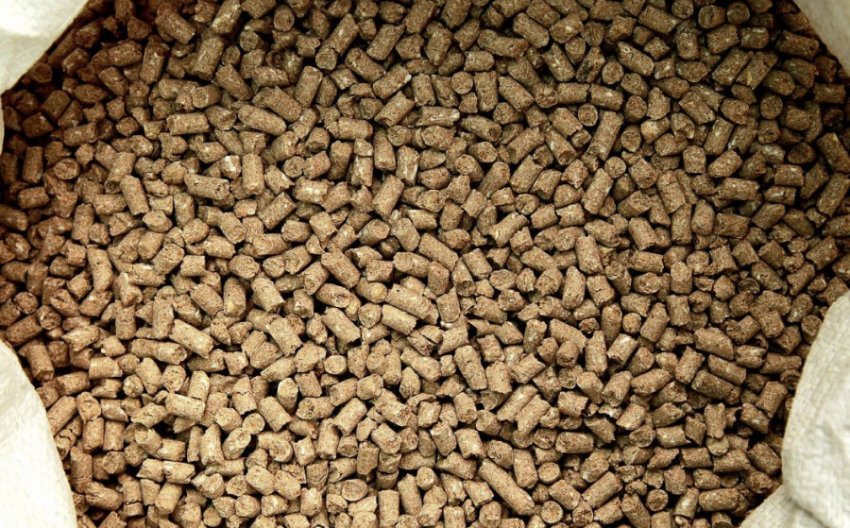 Комбікорм для ВРХ