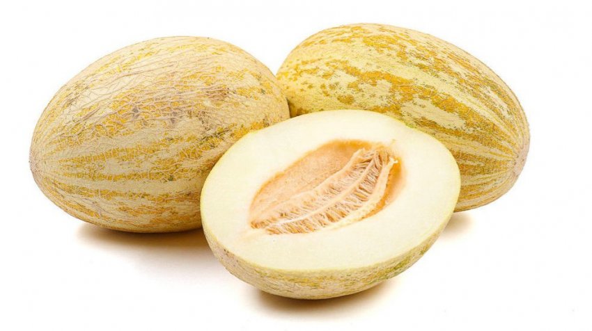 Диня Торпеда