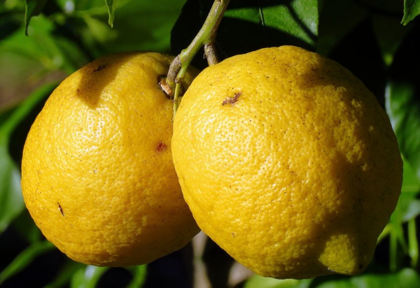 Лимандарин