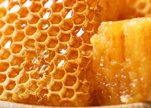 Як правильно і як довго можна зберігати мед у сотах?