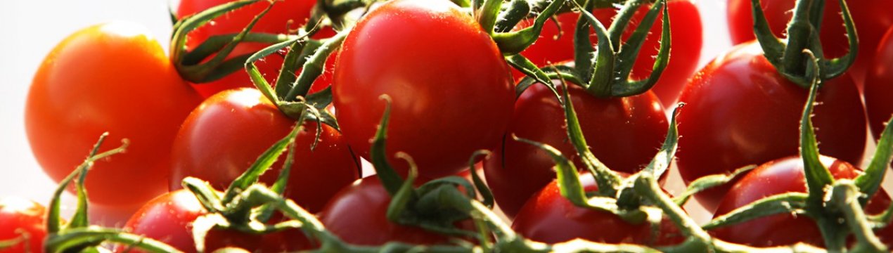 Помідори черрі: користь і шкоду для здоров'я, норма споживання в день