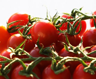 Помідори черрі: користь і шкоду для здоров'я, норма споживання в день