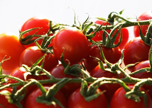 Помідори черрі: користь і шкоду для здоров'я, норма споживання в день