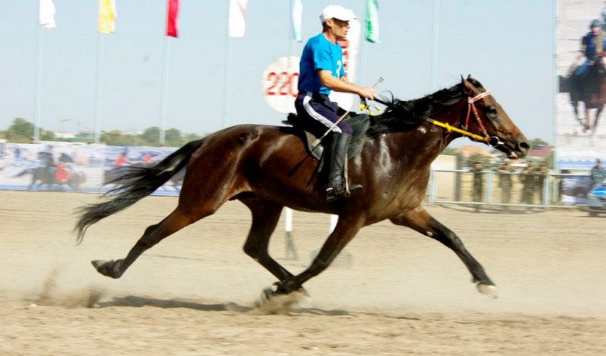 Іноходь Іноходь