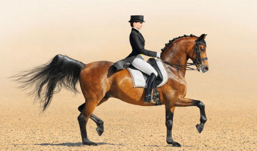 Пасаж Пасаж