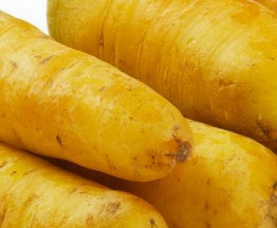 Опис і способи застосування жовтої моркви