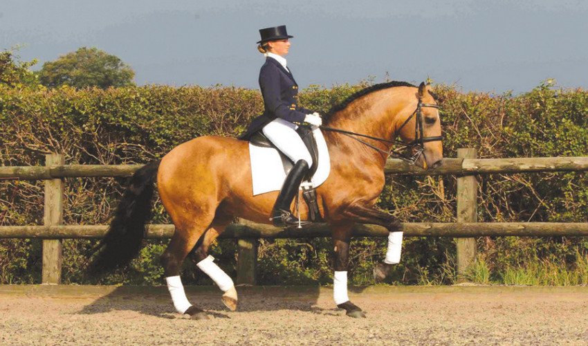 Піаффе Піаффе