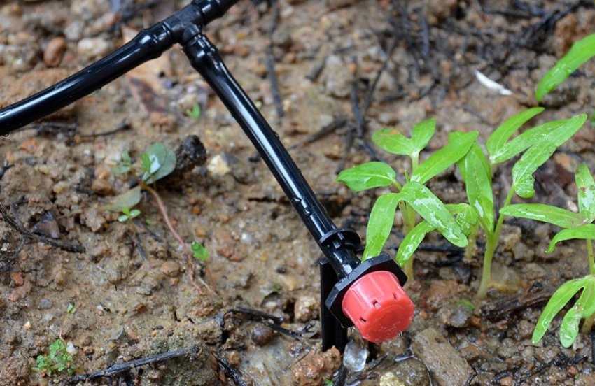 Крапельниці з налаштуванням