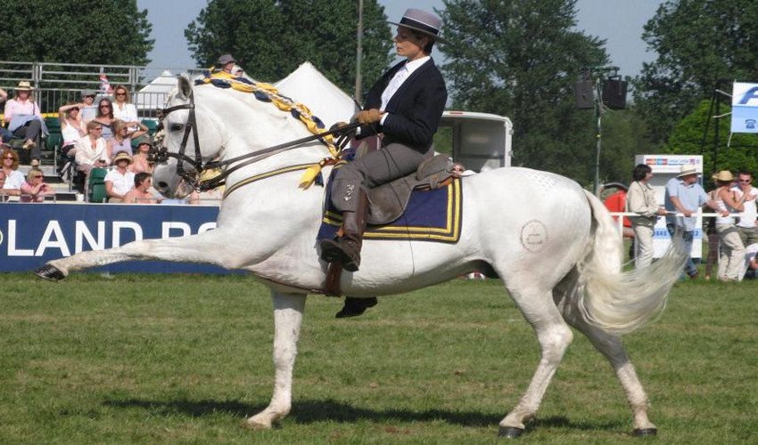 Іспанський крок Іспанський крок