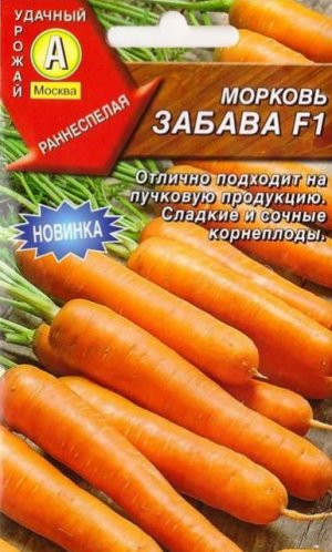 Забава Забава