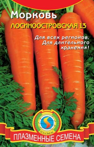 московська пізня московська пізня