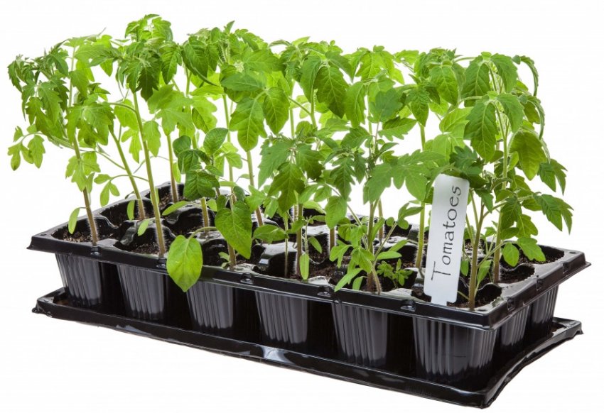 Пластикові касети