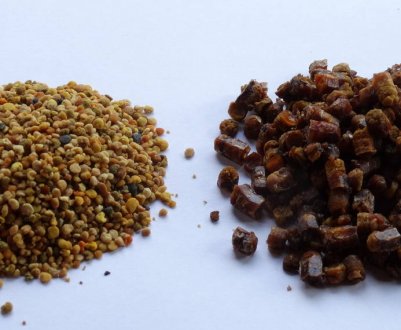 Чим відрізняється бджолина перга від пилку?