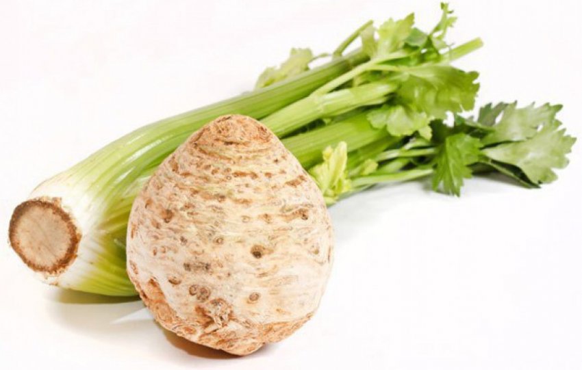 Властивості селедерея