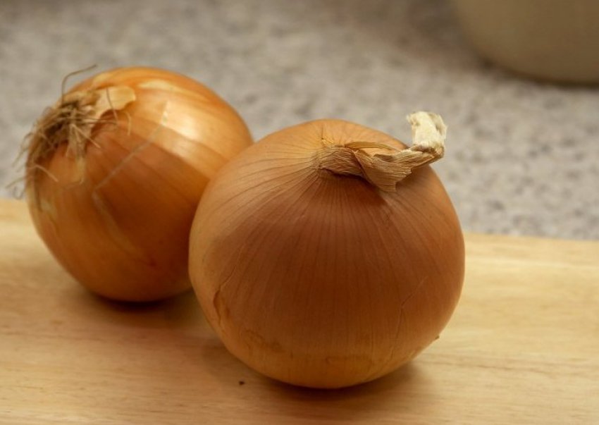 Ріпчасту цибулю Ріпчасту цибулю