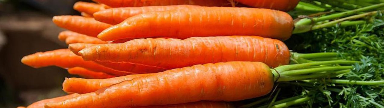 Особливості зберігання моркви взимку в погребі
