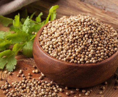 Особливості застосування коріандру для організму людини