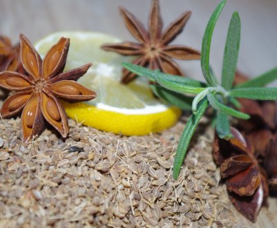 Чим відрізняються бадьян і аніс?