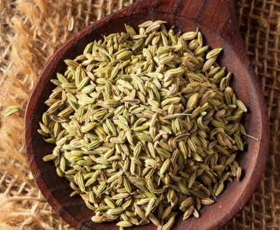 Лікувальні властивості і протипоказання вживання насіння анісу