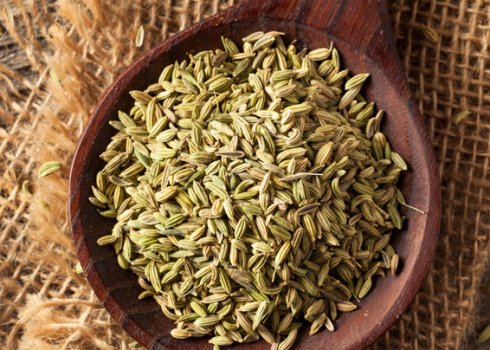 Лечебные свойства и противопоказания употребления семян аниса