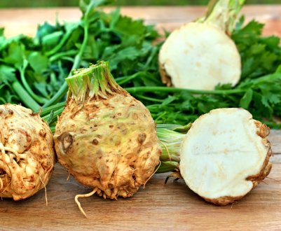 Особливості вирощування кореневого селери у відкритому грунті