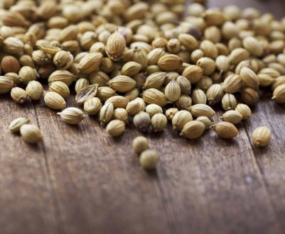 Чим корисні насіння коріандру для організму людини?