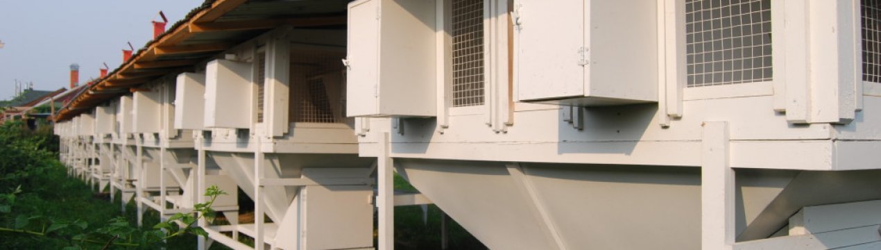 Кролячі клітки Михайлова своїми руками