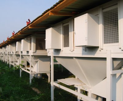 Кролячі клітки Михайлова своїми руками