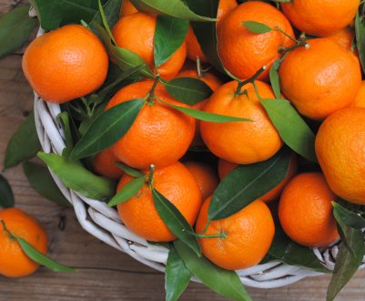 Мандарини, курятина і сири — на піку популярності серед росіян