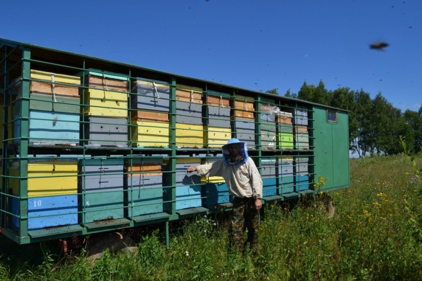 Вулика для промислового бджільництва Вулика для промислового бджільництва