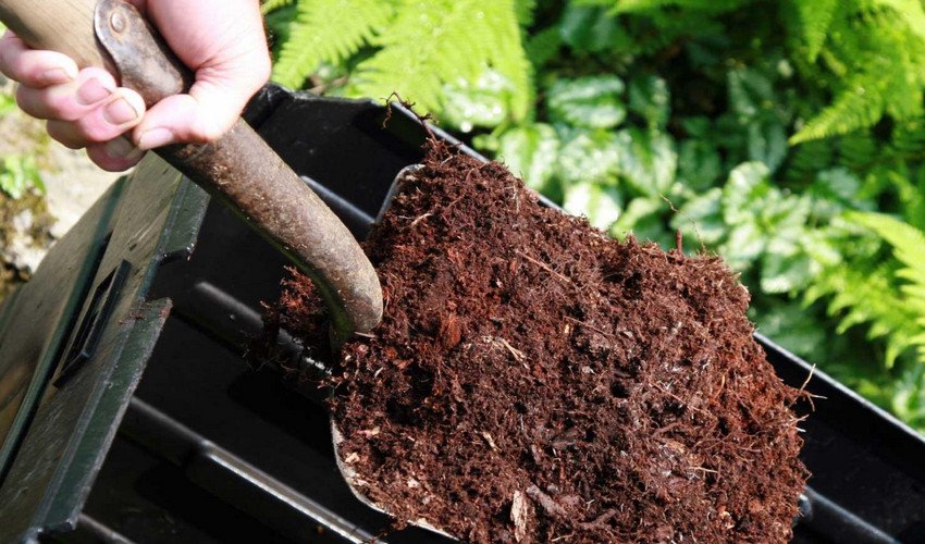 Компост для добрива