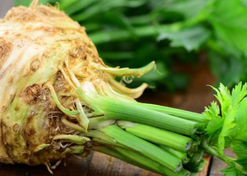Чим корисний корінь селери і як правильно його вживати