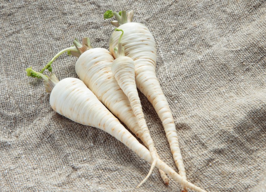 Альба Альба