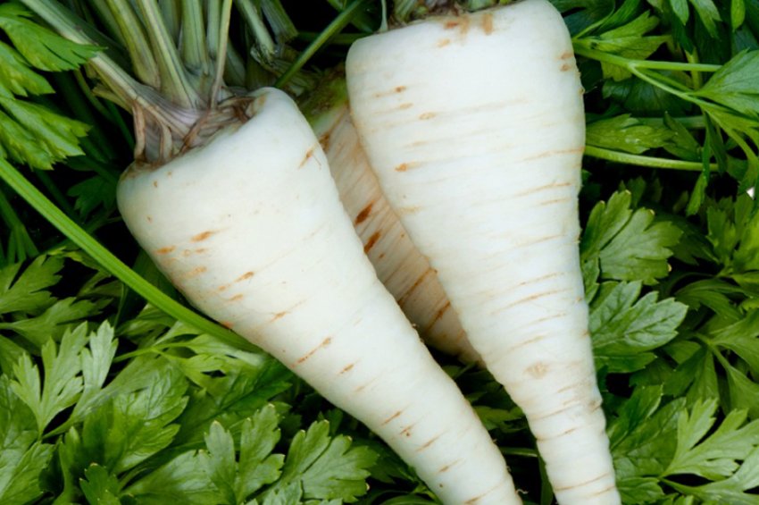 Урожайна Урожайна