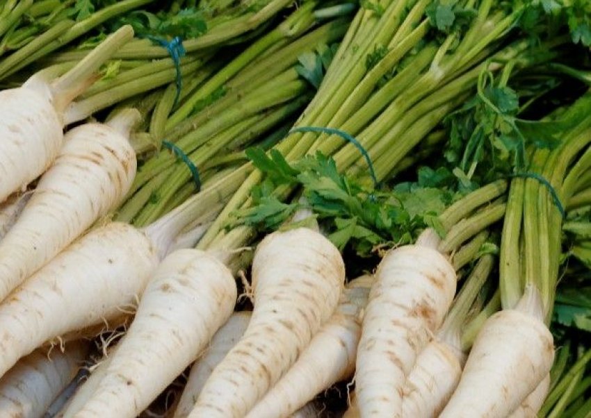 Берлінська Берлінська