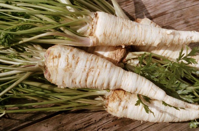 Пікантна Пікантна