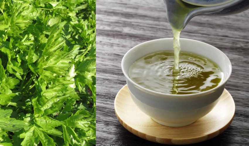 Відвар з петрушки