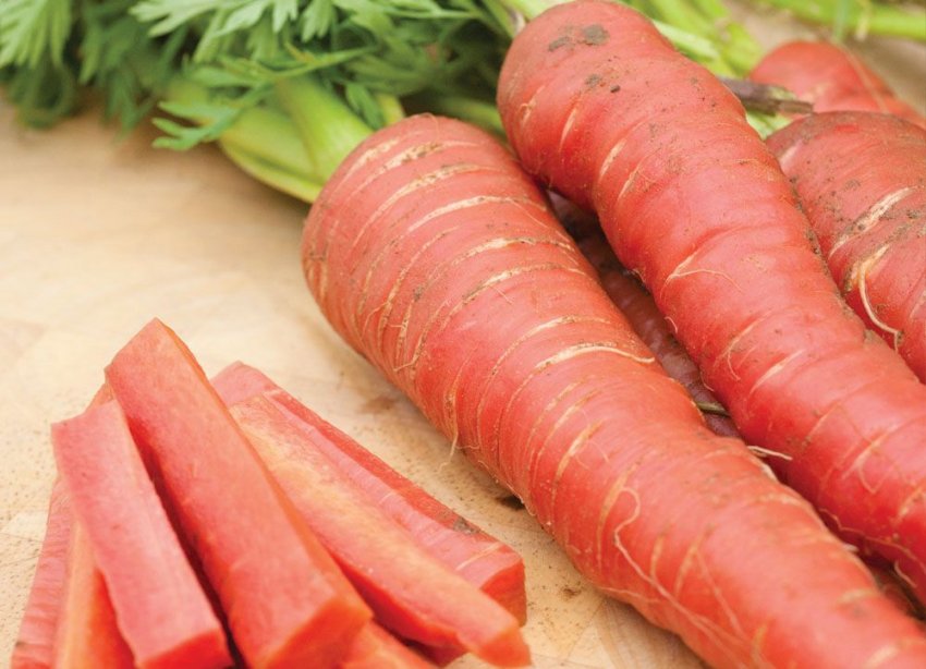 Морква Імператор