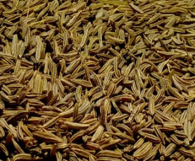 У чому різниця між кмином і чебрецем?