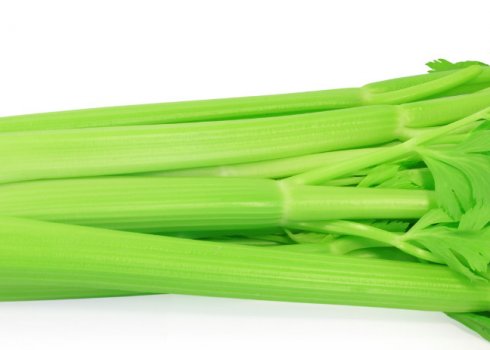 Чи можна вживати селеру при панкреатиті