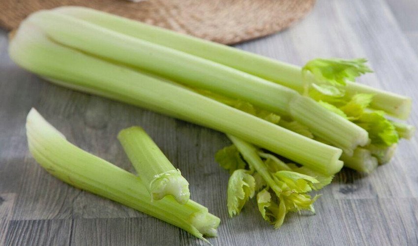 Черешкова селера